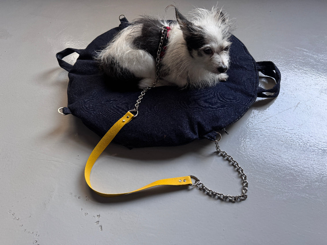 Convertible-computer-Bag-and-small-dog-Bed-folded-from-Muse-et-moi-with-shoulder-strap-open-inside-with-computer-with-a-black-and-white-chorkie-sitting-on-it