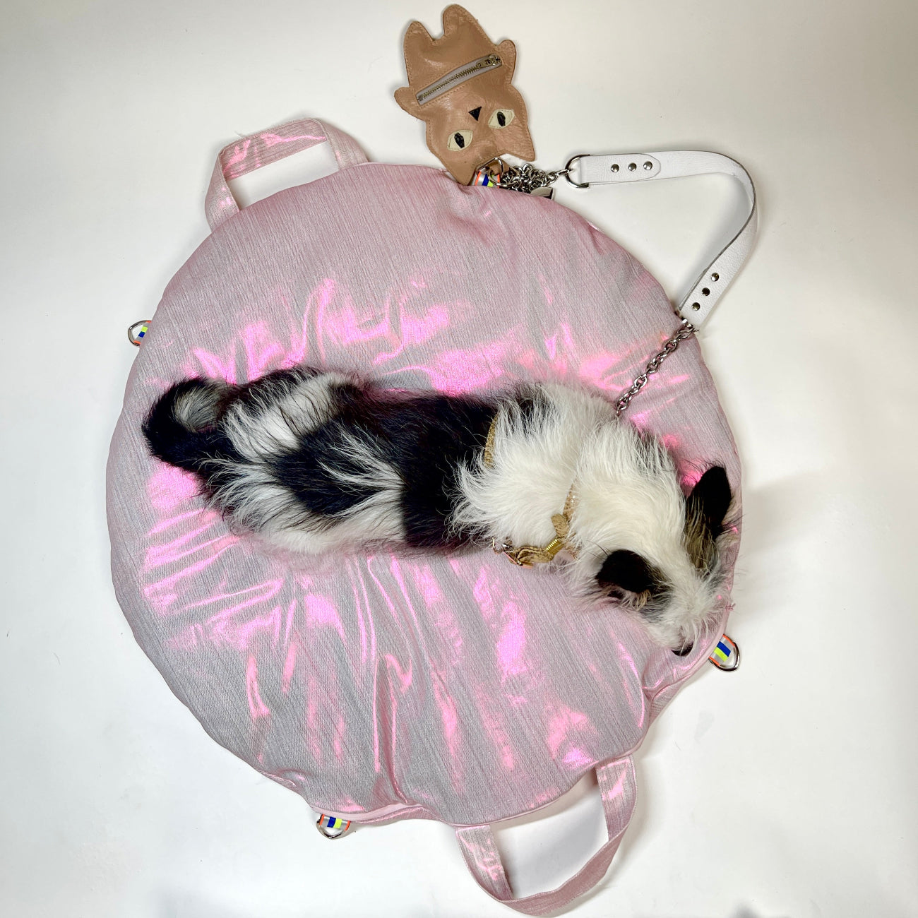 Small dog in a pink and gray pet bed with a white background