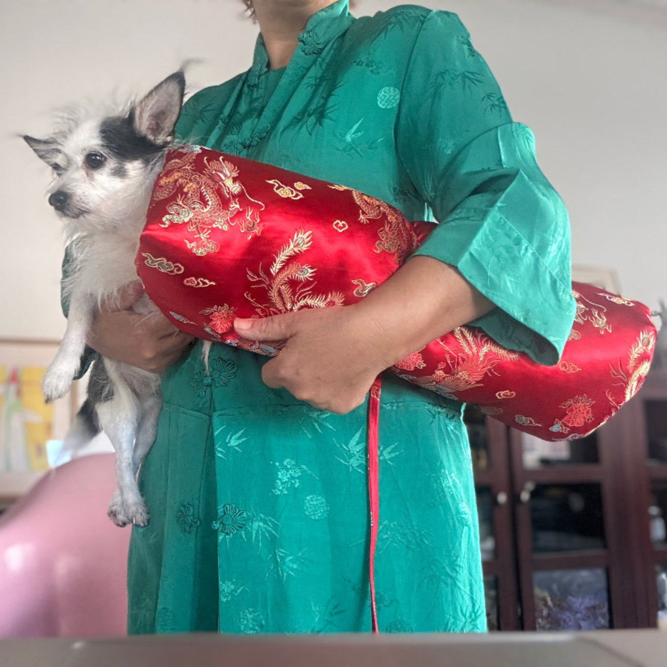 a woman carries the-muttropolitan-muse-and-mutt-dog-bed-rolled-up in red and a black and white dog